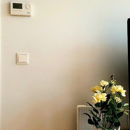 Near Lake Two Bedroom Fully Furnished Apartment Βιέννη Εξωτερικό φωτογραφία