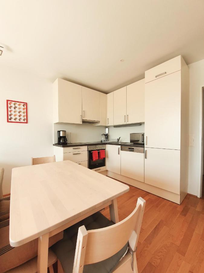 Near Lake Two Bedroom Fully Furnished Apartment Βιέννη Εξωτερικό φωτογραφία